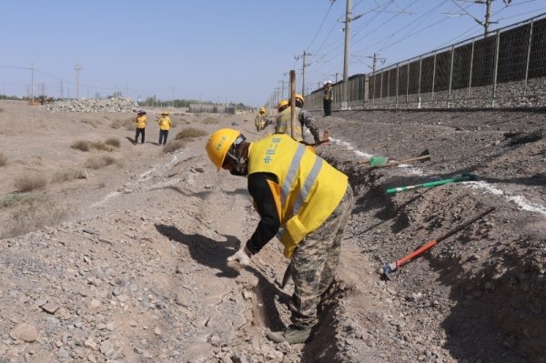 盒马配资 烈日下，他们奋战在戈壁滩上