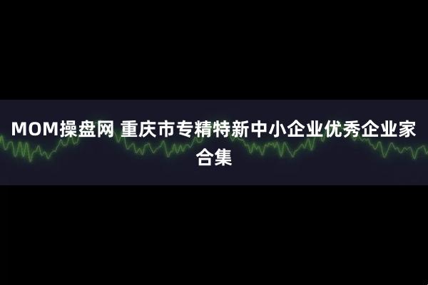 MOM操盘网 重庆市专精特新中小企业优秀企业家合集