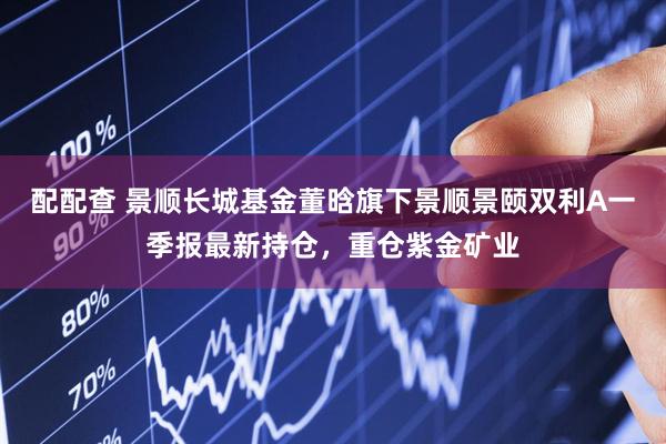 配配查 景顺长城基金董晗旗下景顺景颐双利A一季报最新持仓，重仓紫金矿业