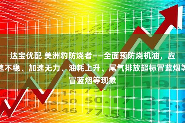 达宝优配 美洲豹防烧者——全面预防烧机油，应对怠速不稳、加速无力、油耗上升、尾气排放超标冒蓝烟等现象